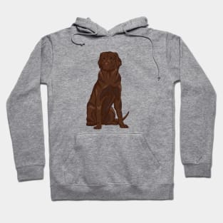 Chocolate brown labrador retriever Hoodie